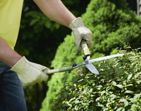 11062b 941cd43416534b9281246af4d0c517dc~mv2