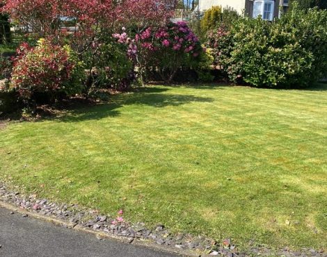 465840191 569010052489151 4276605458908451587 n